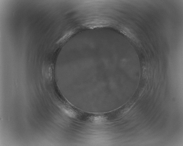 X0000060790165200511101428