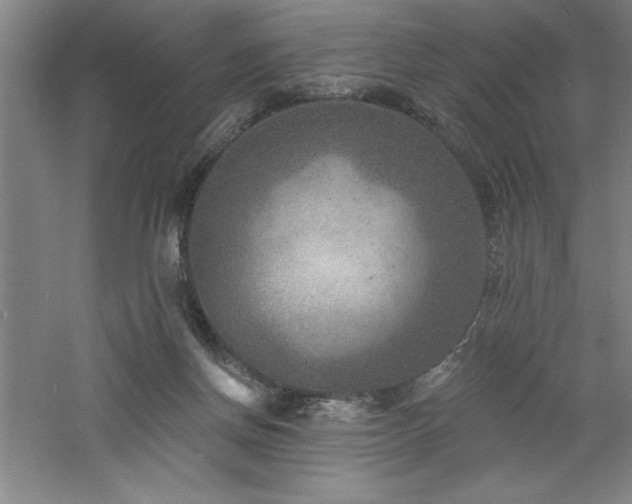 X0000060790166200511101428