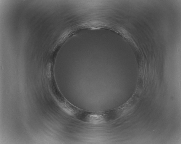 X0000060790167200511101428