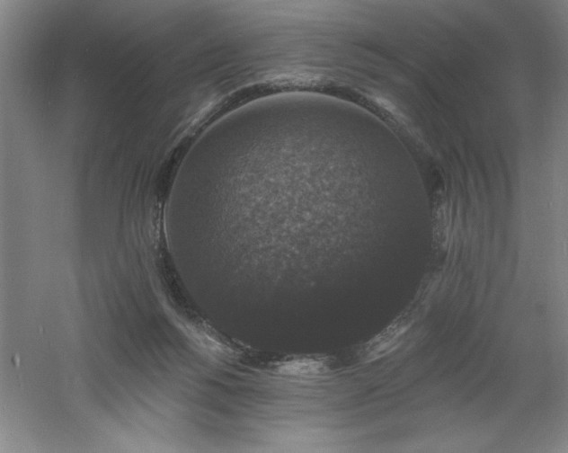 X0000060790168200511101428