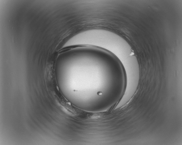 X0000060790171200511101428