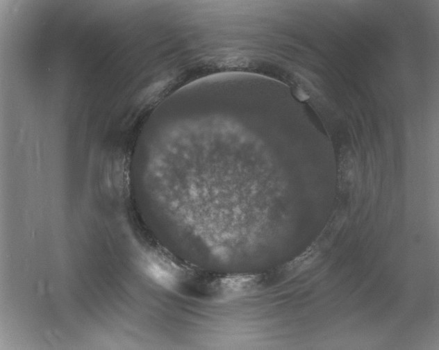 X0000060790172200511101428