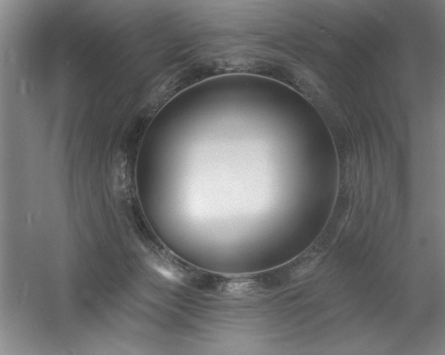 X0000060790173200511101428