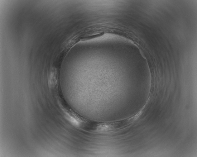 X0000060790174200511101428