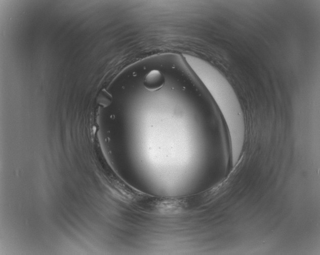 X0000060790175200511101428