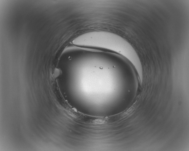 X0000060790176200511101428