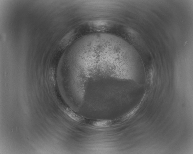 X0000060790178200511101428