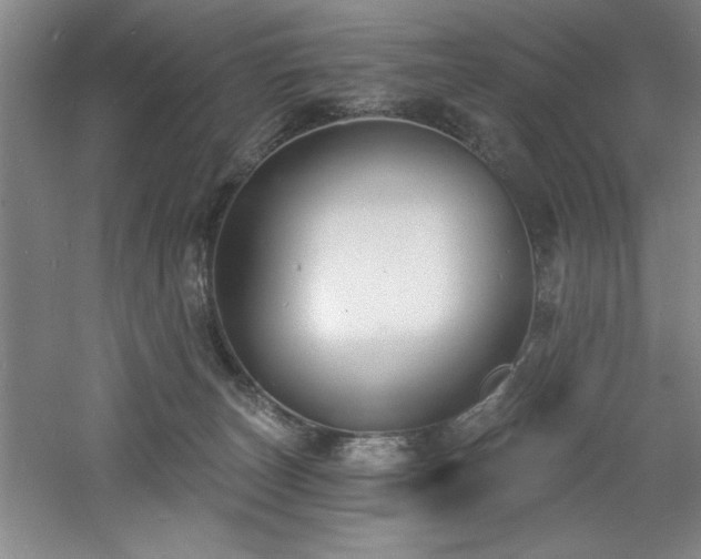 X0000060790179200511101428