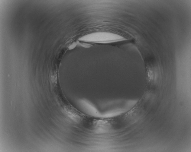 X0000060790180200511101428