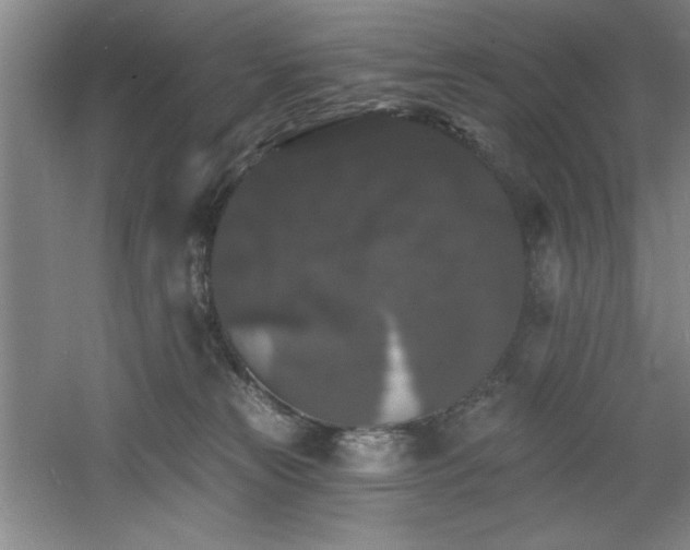 X0000060790181200511101428