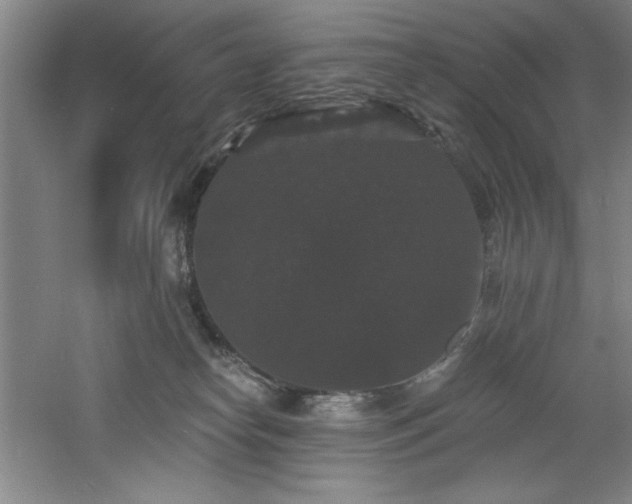 X0000060790182200511101428