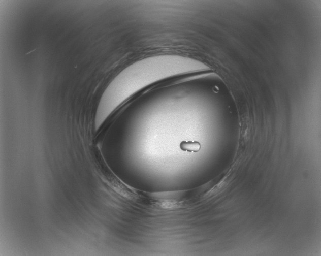 X0000060790184200511101428