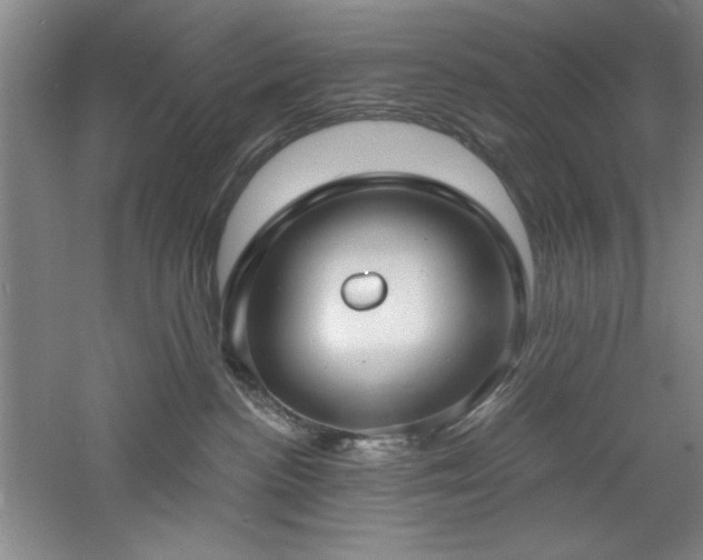 X0000060790188200511101428