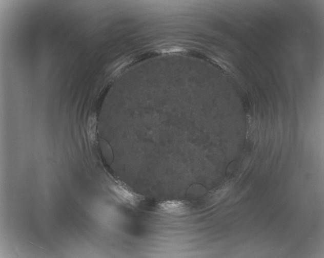 X0000060790189200511101428