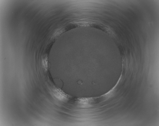 X0000060790190200511101428