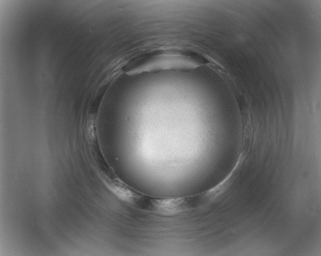 X0000060790191200511101428