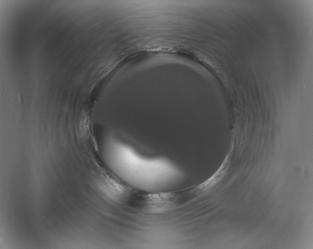 X0000060790192200511101428