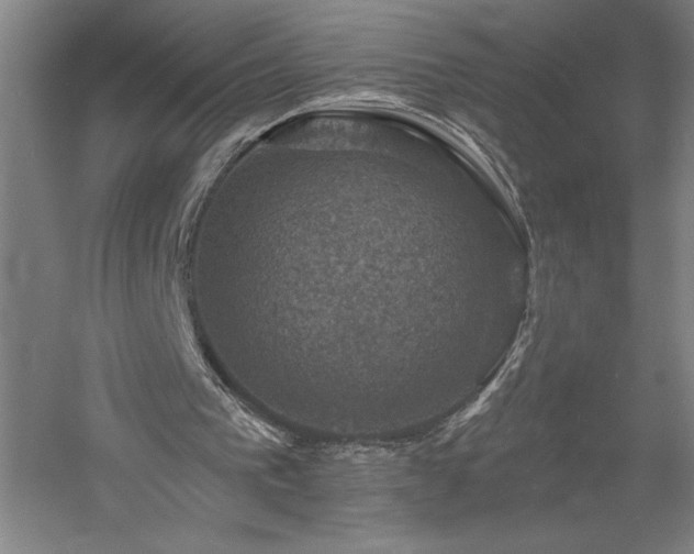 X0000060790193200511101427