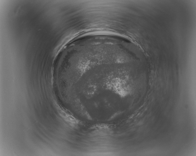 X0000060790194200511101427