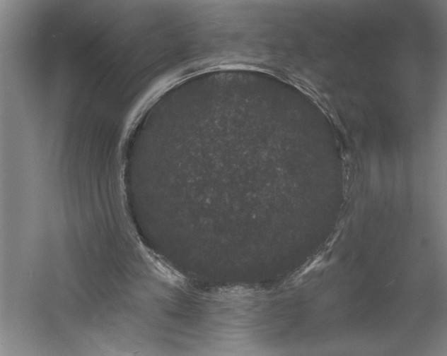 X0000060790197200511101427