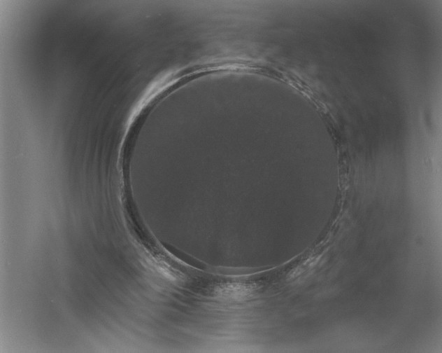 X0000060790198200511101427