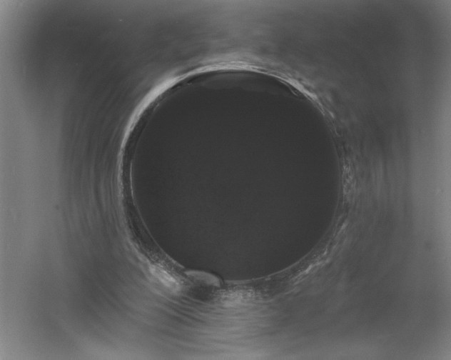 X0000060790200200511101427