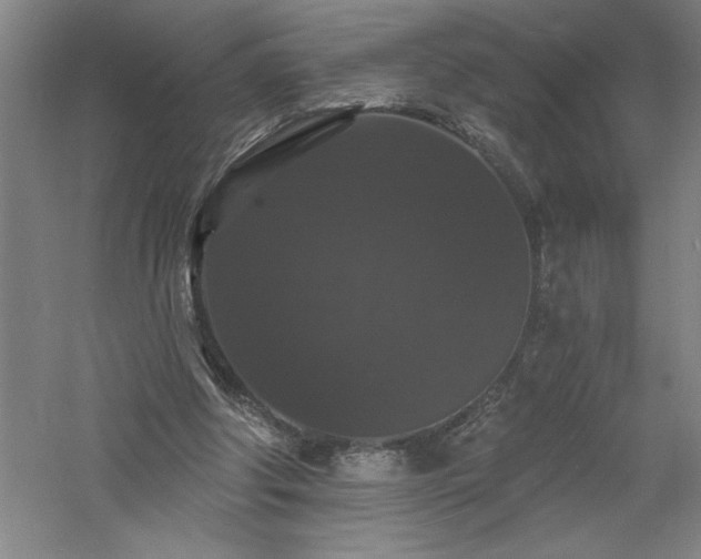 X0000060790202200511101427