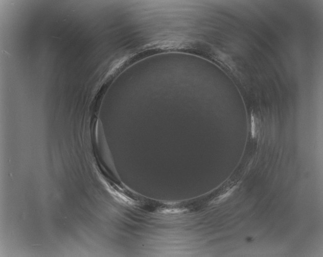 X0000060790205200511101427