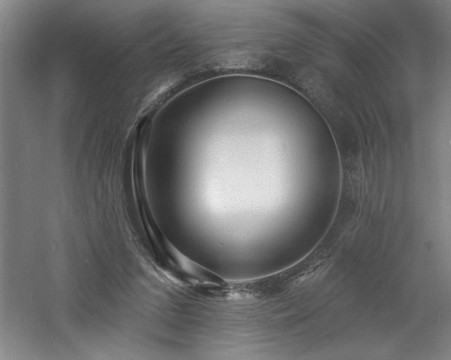 X0000060790207200511101427