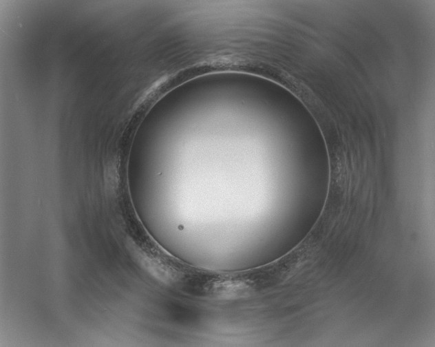 X0000060790208200511101427