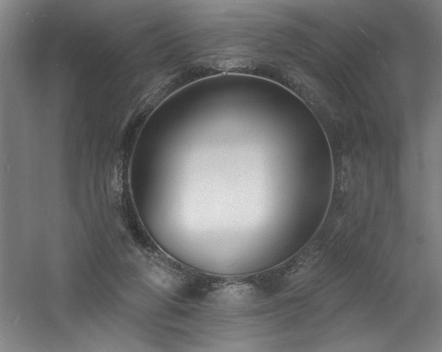 X0000060790210200511101427