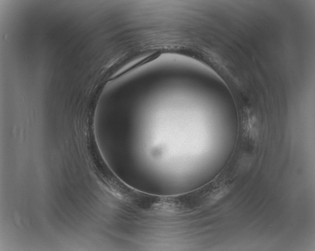 X0000060790211200511101427