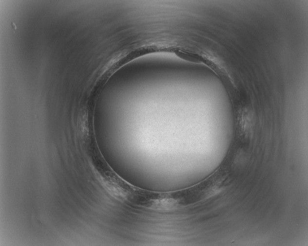 X0000060790212200511101427