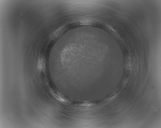 X0000060790213200511101427