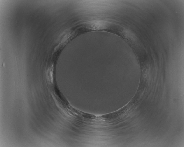 X0000060790214200511101427