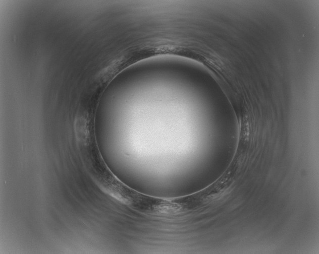 X0000060790215200511101427