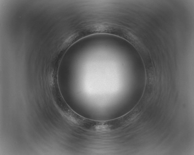 X0000060790216200511101427