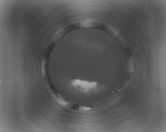 X0000060790217200511101427