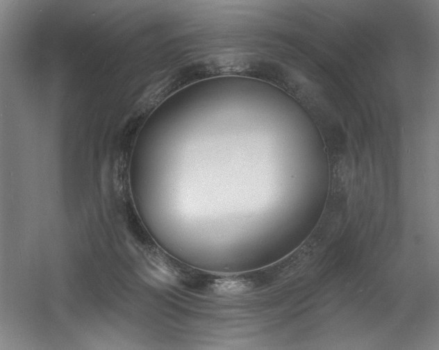 X0000060790218200511101427