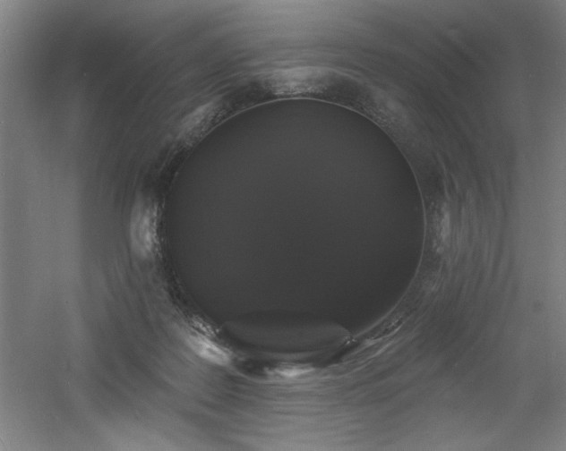 X0000060790219200511101427