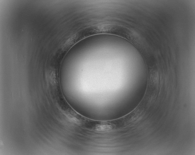 X0000060790220200511101427