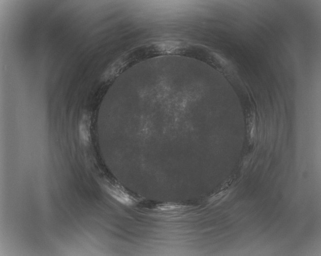 X0000060790221200511101427