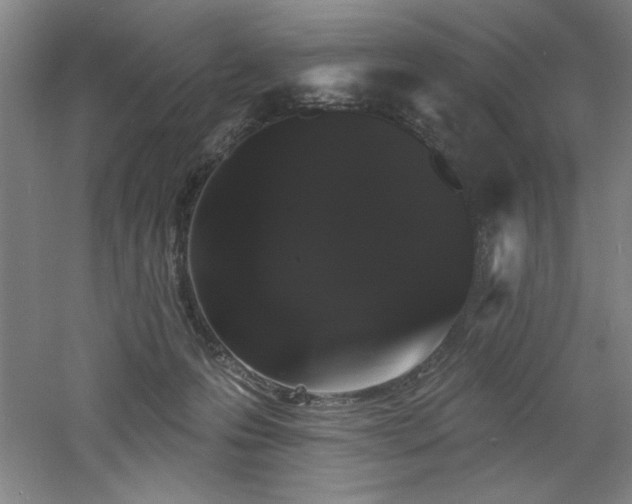 X0000060790223200511101427