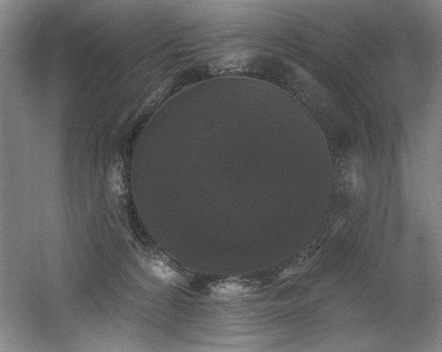 X0000060790224200511101427