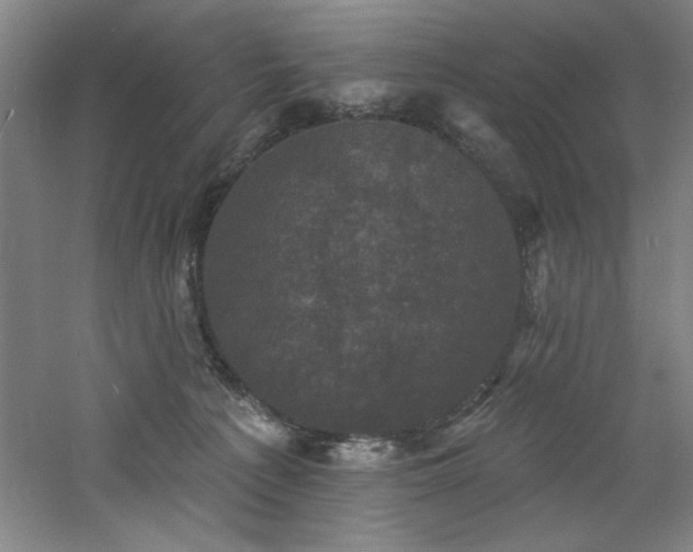 X0000060790225200511101427