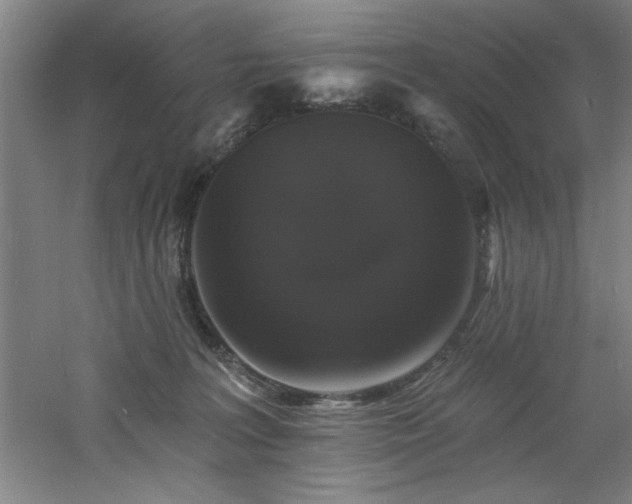 X0000060790227200511101427