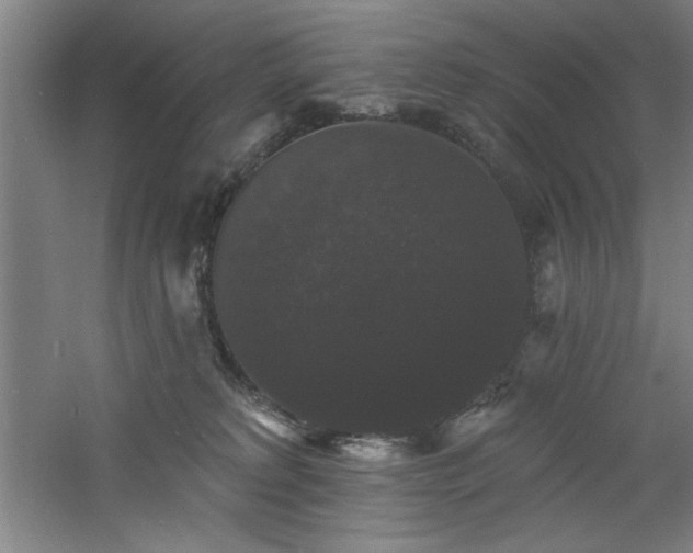 X0000060790229200511101427