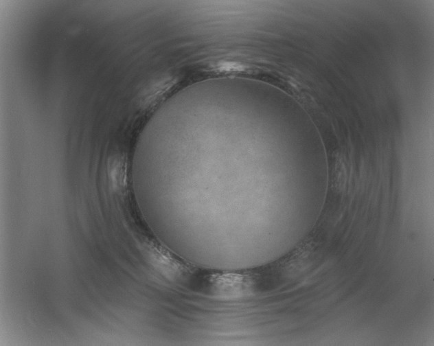 X0000060790230200511101427