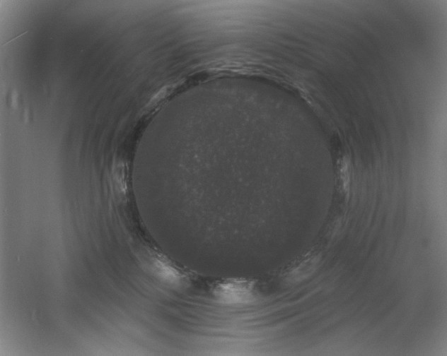 X0000060790232200511101427