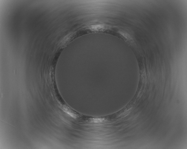 X0000060790233200511101427